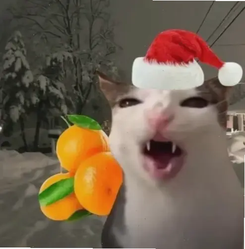 Avatar Giáng sinh hài hước: Ông già Noel phiên bản Na'vi lầy lội, mang tiếng cười rộn ràng đến mùa lễ hội vui tươi!