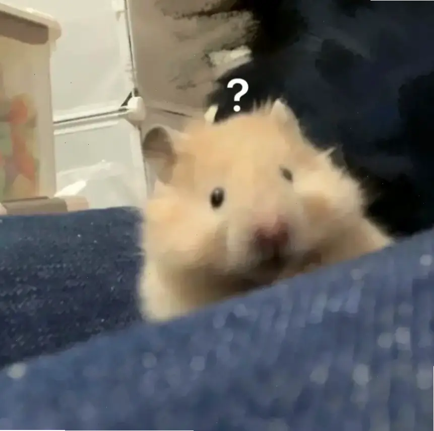 Avatar hamster cute sẽ làm profile của bạn bừng sáng với sự dễ thương không cưỡng lại! Thêm ngay để nổi bật và thu hút mọi ánh nhìn.