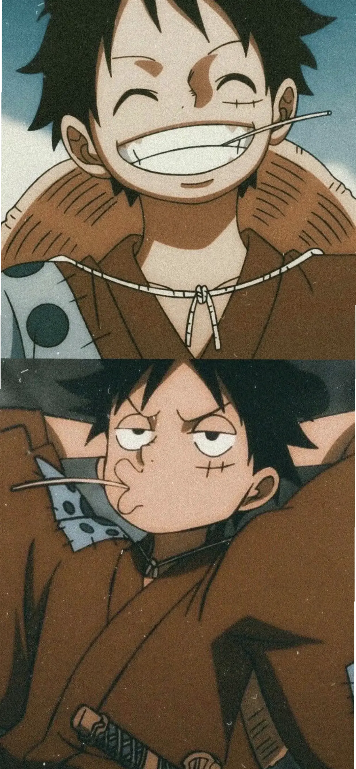 Avatar Luffy Wano: Khám phá sức mạnh phi thường của One Piece, sẵn sàng chinh phục biển cả với phong cách samurai huyền thoại!
