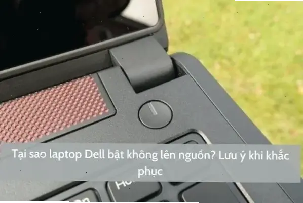 Giới thiệu