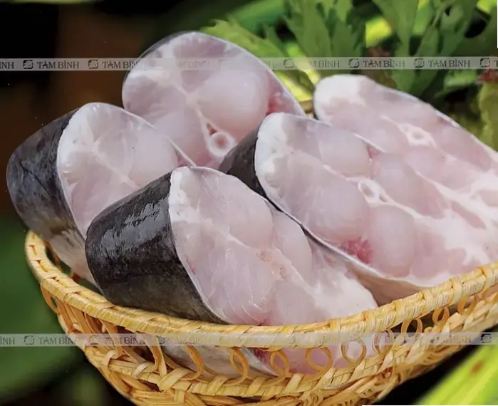 Giới thiệu