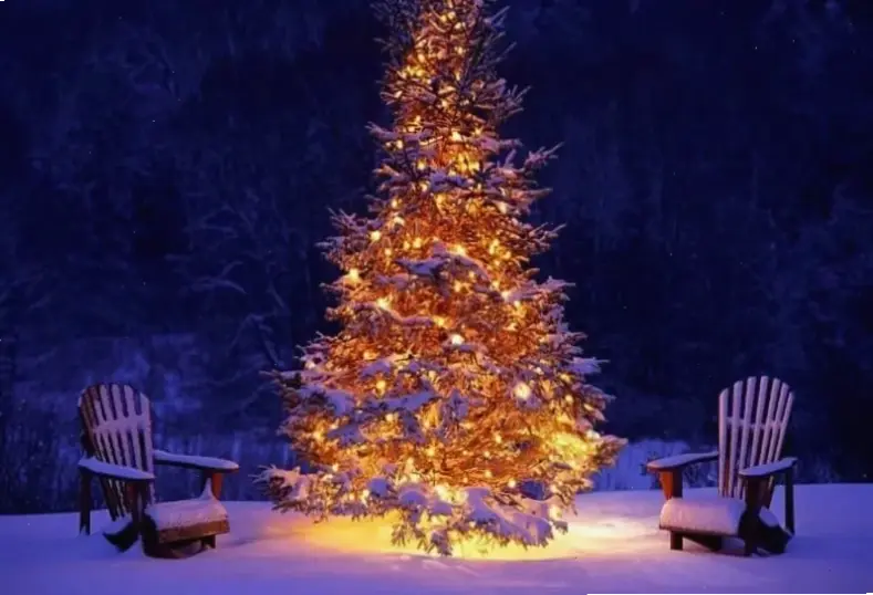 Hình nền cây thông Noel lung linh, mang không khí Giáng sinh ấm áp và rực rỡ đến màn hình của bạn!