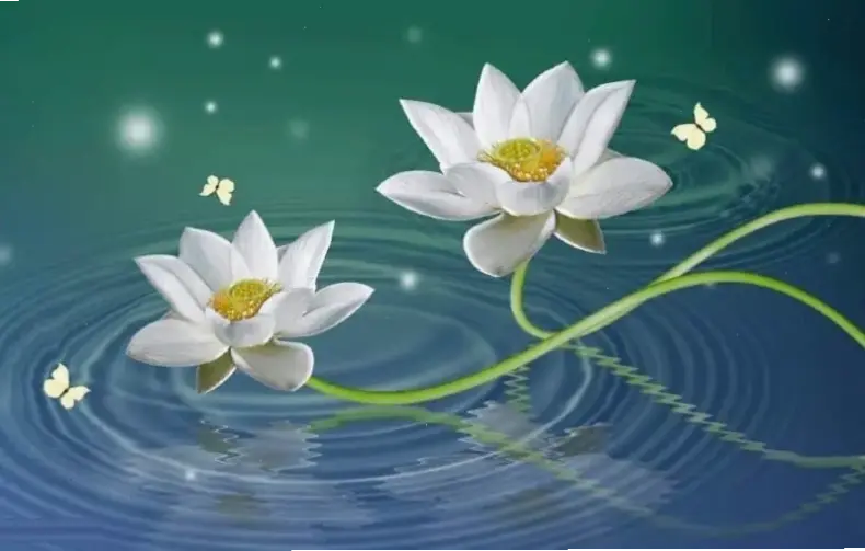 Hình nền hoa sen hồng rực rỡ, truyền tải năng lượng tích cực và tươi mới mỗi ngày.