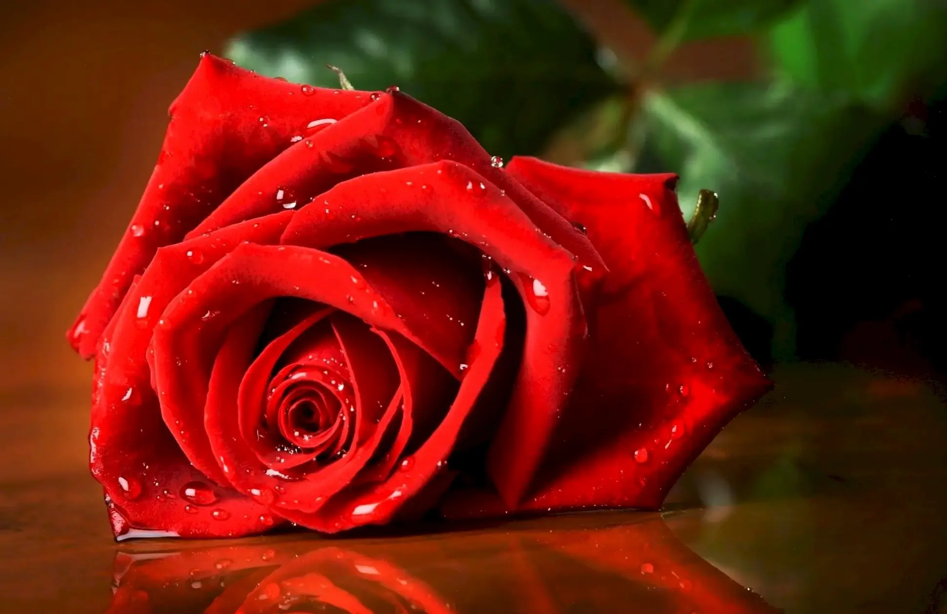 Hoa hồng đỏ rực rỡ tô điểm tiệc cưới, biểu tượng tình yêu nồng cháy và lãng mạn bất tận.