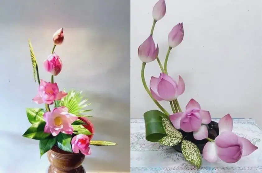 Khám phá cách cắm hoa sen đẹp để trang trí nhà, tạo không gian thanh lịch và tinh tế với hoa sen tươi.