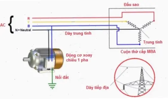 Lý do chính để nối đất trung tính
