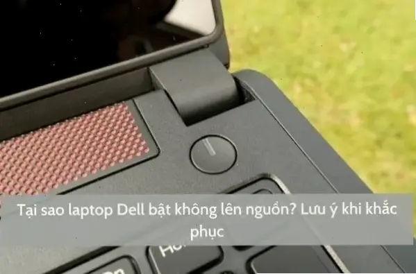 Nguyên nhân phổ biến