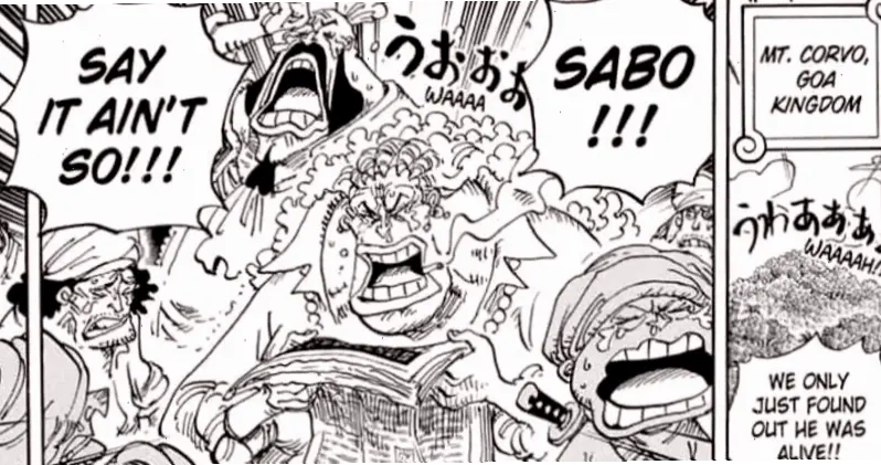 Sabo chết: Có phải sự thật? Khám phá câu chuyện bi thương trong One Piece ngay!