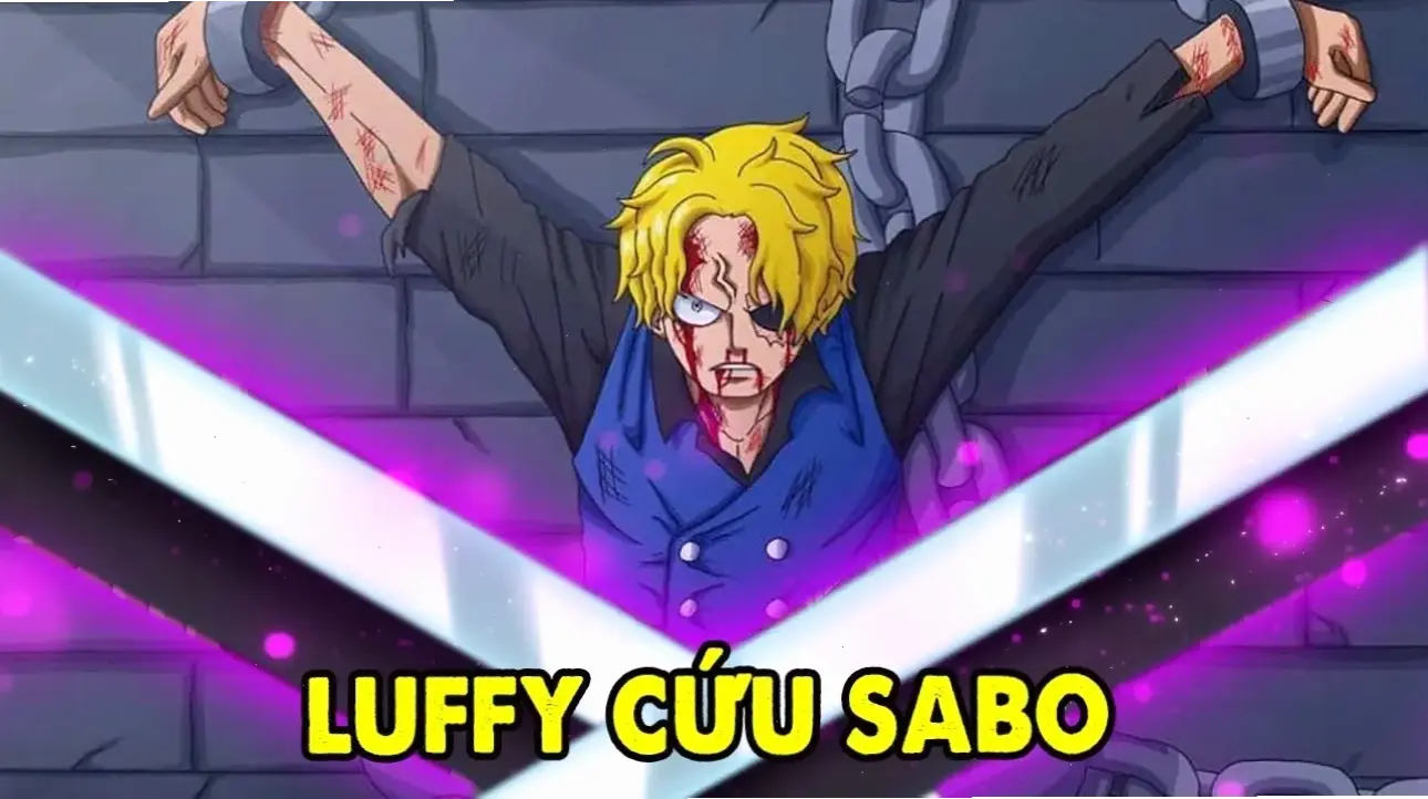 Sabo đã chết chưa? Câu hỏi lớn trong One Piece, với những tình tiết bất ngờ!