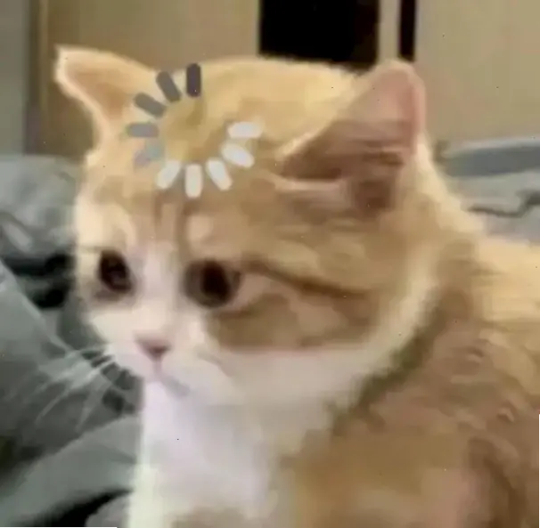 Avatar mèo vô tri siêu dễ thương, mang đến tiếng cười bất tận và niềm vui hàng ngày cho cuộc sống của bạn! 😊