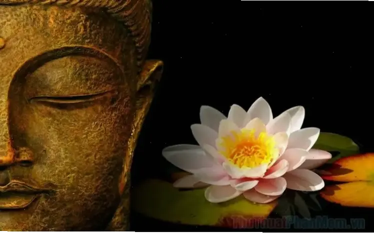 Ảnh chùa cổ Việt Nam với Phật uy nghiêm, nơi lưu giữ lịch sử và niềm tin.