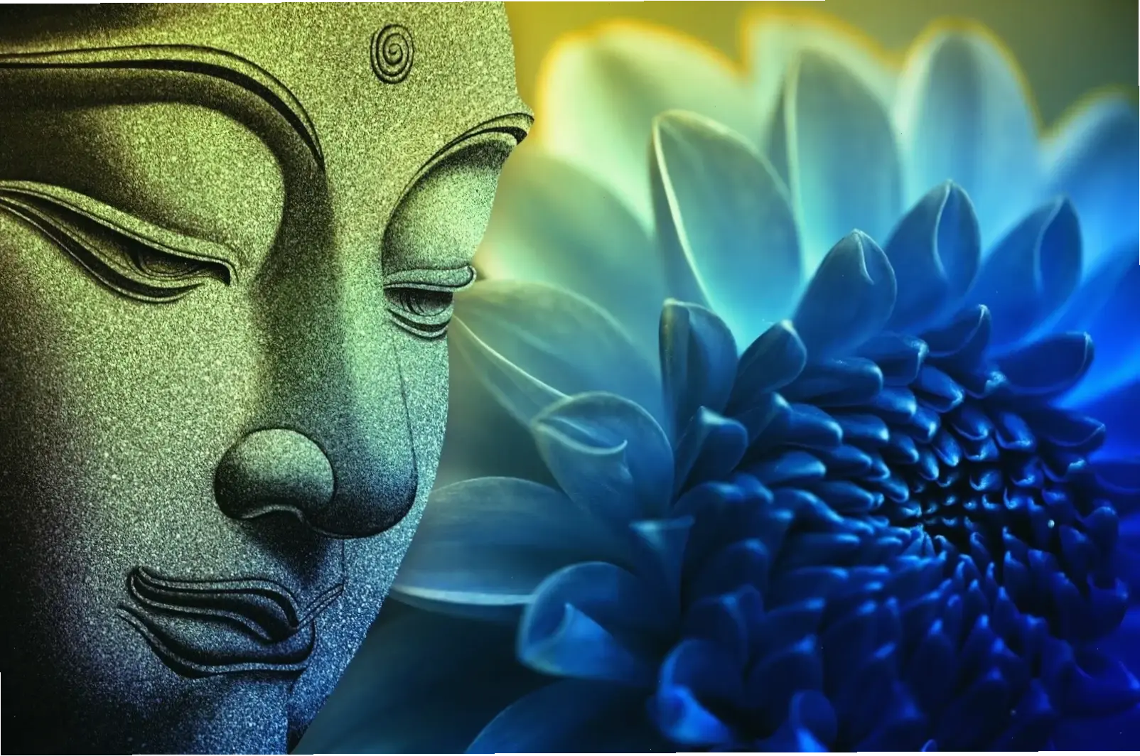 Ảnh Phật Thích Ca chùa hang, lưu giữ khoảnh khắc thiêng liêng và sự yên tĩnh của không gian cổ kính.