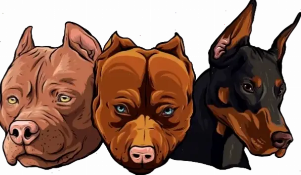 Avatar chó Pit Bull: Biểu tượng sức mạnh, lòng trung thành và sự đáng yêu của giống chó năng động này!