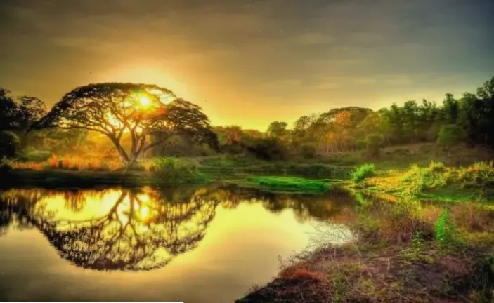 Hãy hòa mình vào vẻ đẹp thiên nhiên xanh tươi, nơi mang lại năng lượng và sự bình yên vô tận cho tâm hồn bạn.