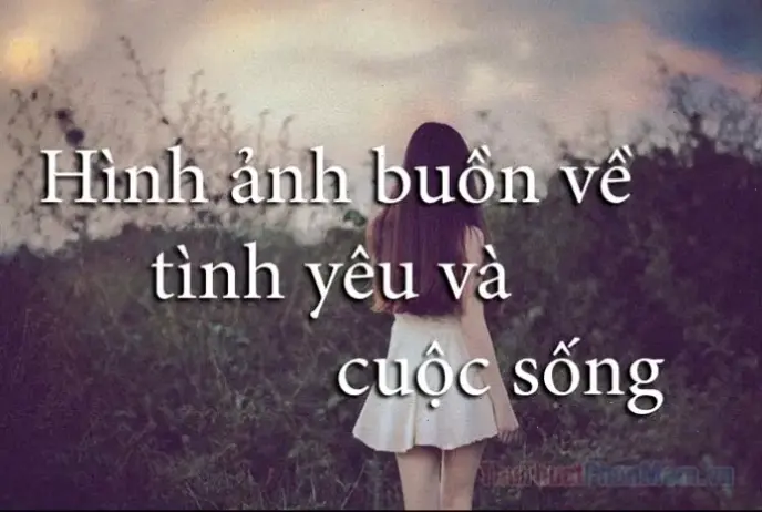 Avatar tình yêu buồn: Hành trình trái tim tan vỡ, mang đến cảm xúc sâu lắng và bài học quý giá về tình yêu đích thực.