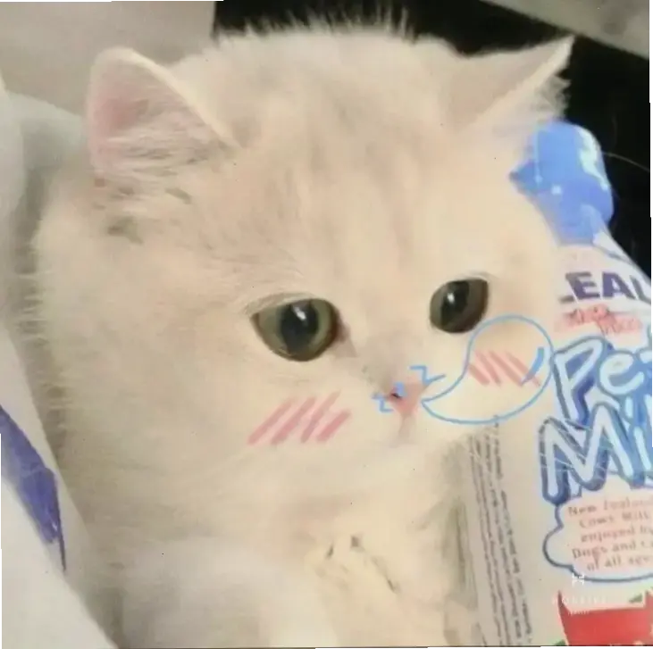 Avatar chàng trai vô tri hài hước: Luôn biến mọi khoảnh khắc thành tiếng cười bất ngờ, giải trí đỉnh cao!