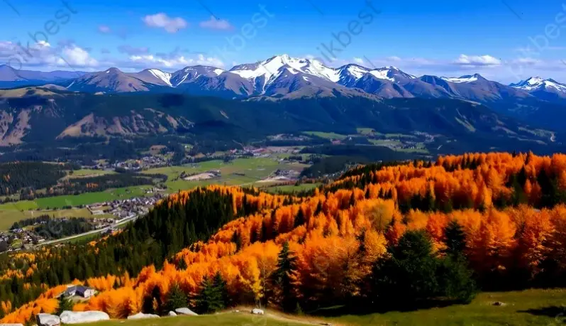 Bình minh rực rỡ trên Alps mùa thu, ánh nắng vàng óng ả xuyên qua sương mai, đánh thức mọi giác quan bằng vẻ đẹp thiên nhiên.