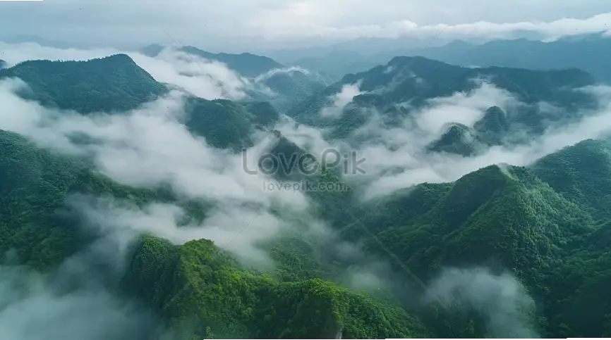 Bình minh rực rỡ trong rừng sương mù, đánh thức mọi giác quan với ánh sáng dịu dàng và không khí trong lành.