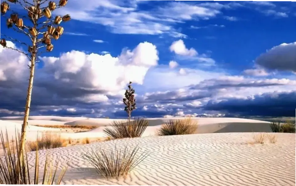 Bình minh sa mạc Sahara rực rỡ, đánh thức giác quan với ánh nắng vàng óng ả và cảnh quan tuyệt đẹp.