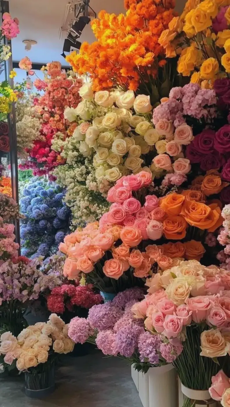 Bó hoa cúc tươi thắm, cận cảnh thể hiện sự kết hợp hài hòa và ý nghĩa sâu sắc.