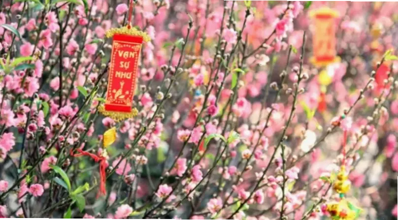 Bó hoa đào đẹp mắt, hoàn hảo để làm quà tặng hoặc trang trí, thể hiện sự tinh tế và yêu thương chân thành.