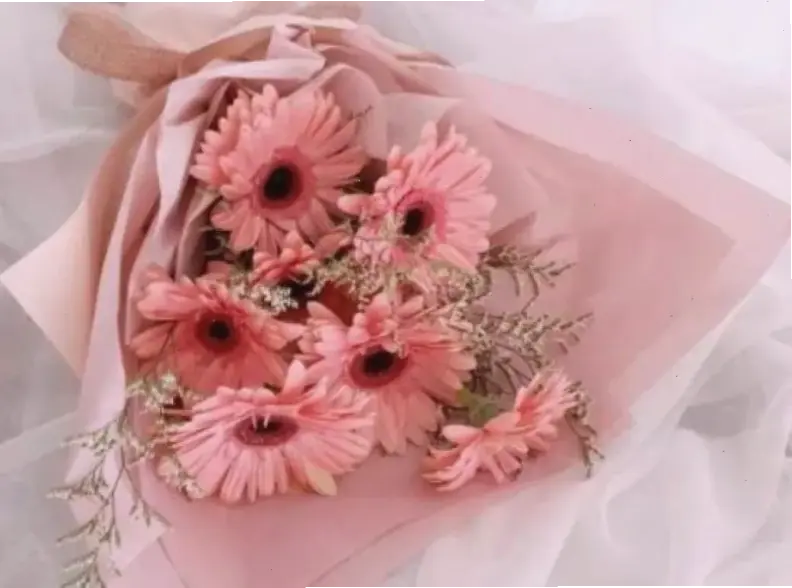 Bó hoa đồng tiền tươi thắm, lý tưởng cho mọi dịp lễ hội và kỷ niệm.