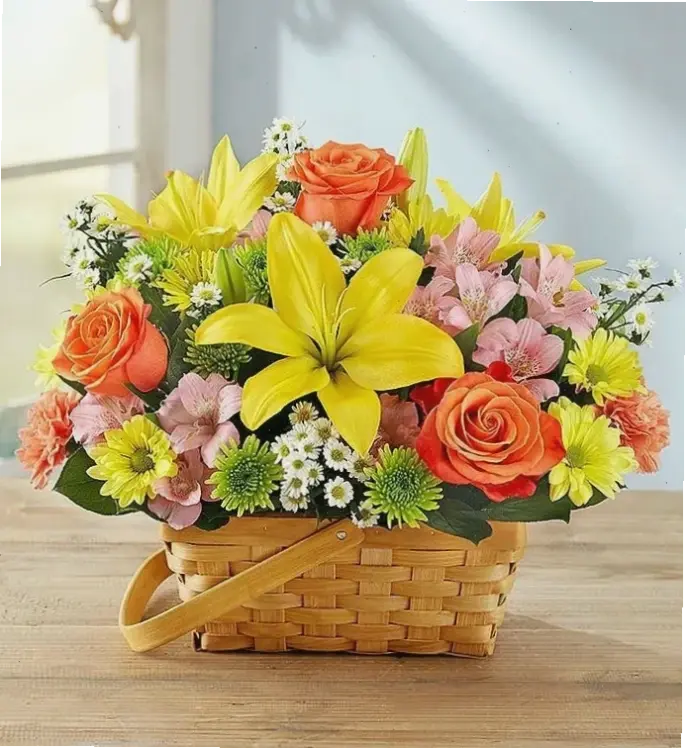 Bó hoa đồng tiền tươi thắm tặng sinh nhật, thể hiện tình yêu thương chân thành và ấm áp!