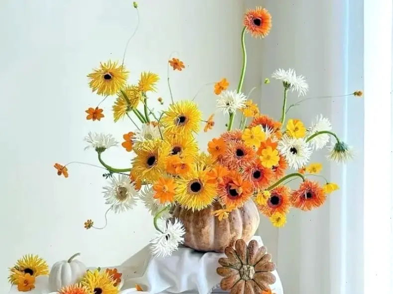 Bó hoa đồng tiền xinh xắn dành khai trương, thể hiện lời chúc thành công rực rỡ và ý nghĩa sâu sắc!