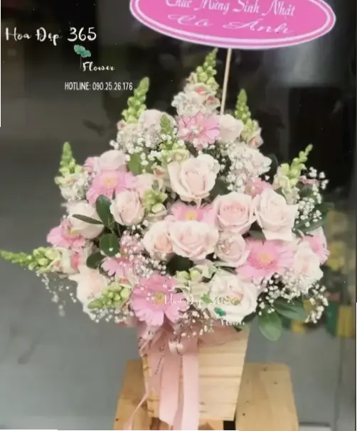 Bó hoa đồng tiền xinh xắn dành tặng lời chúc mừng chân thành và đầy cảm xúc.