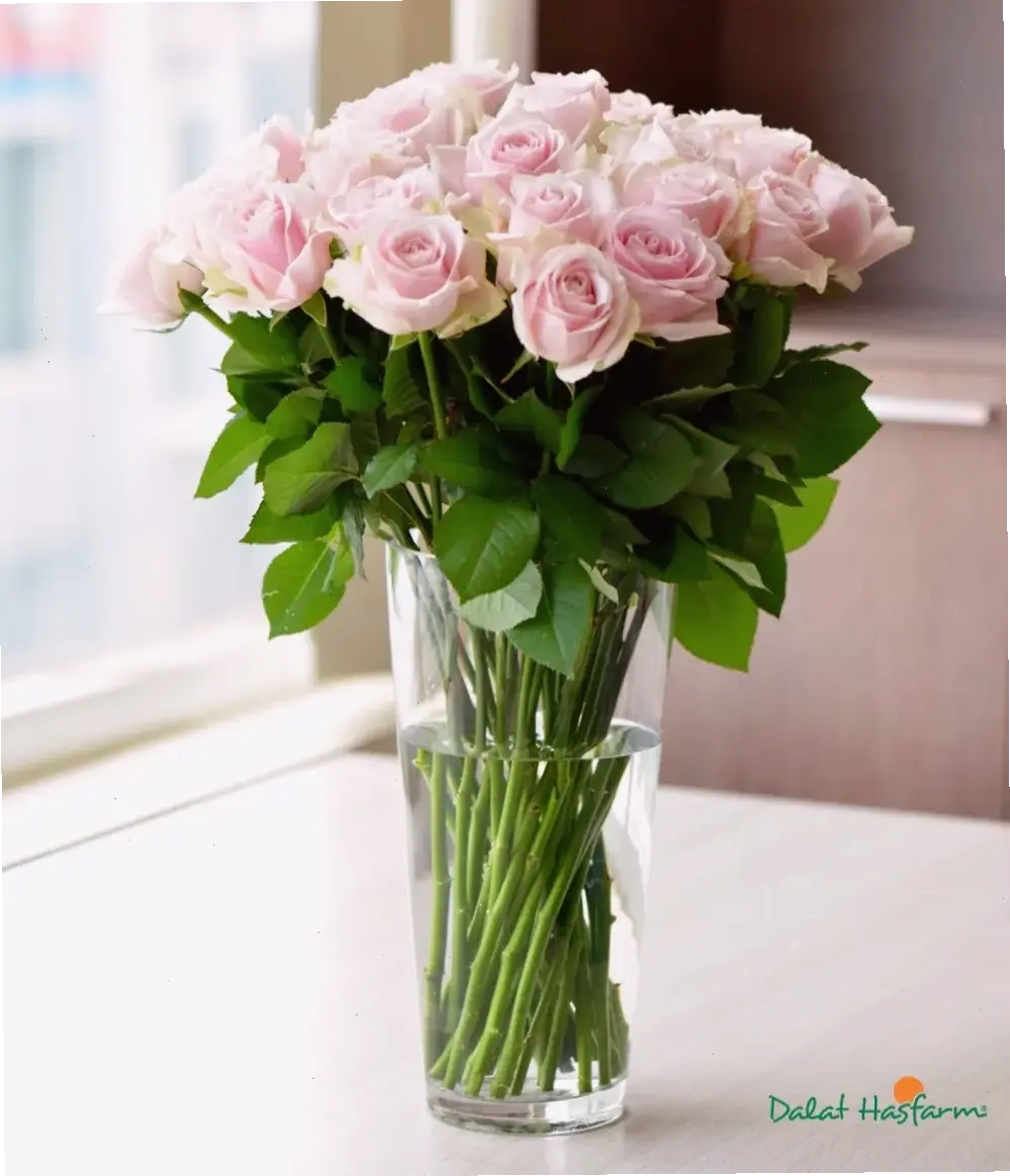 Bó hoa hồng đỏ nồng nàn, biểu tượng tình yêu, lý tưởng cho Valentine hay kỷ niệm đặc biệt.