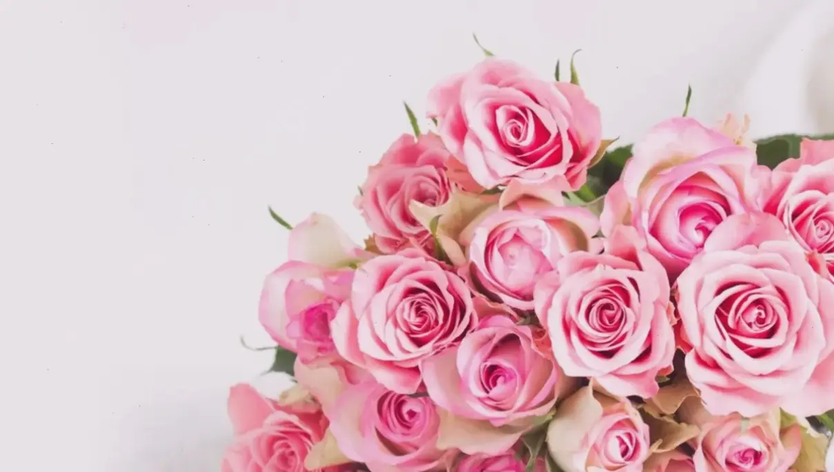 Bó hoa hồng tươi thắm, lý tưởng cho những khoảnh khắc đặc biệt và ý nghĩa sâu sắc.