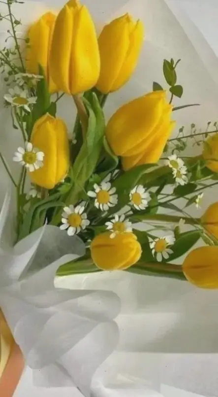 Bó tulip đẹp lung linh, tô điểm không gian với sắc màu tươi mới và cuốn hút.