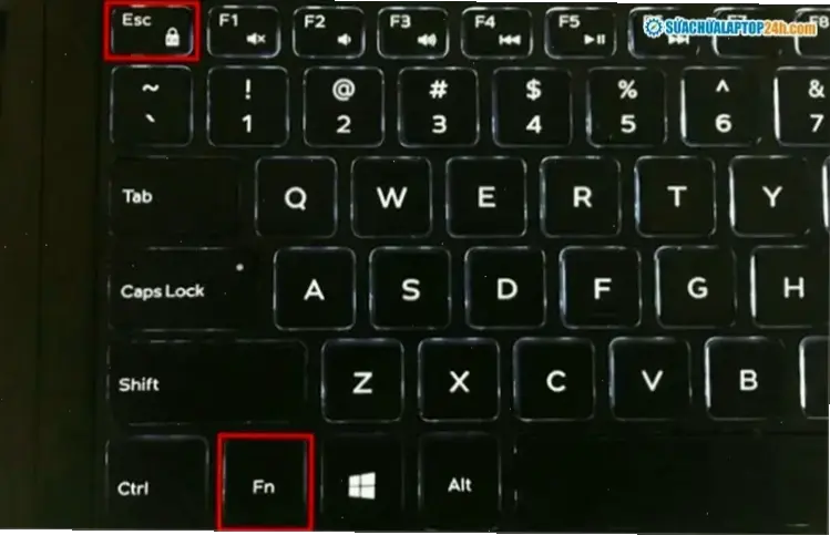 Các bước khắc phục