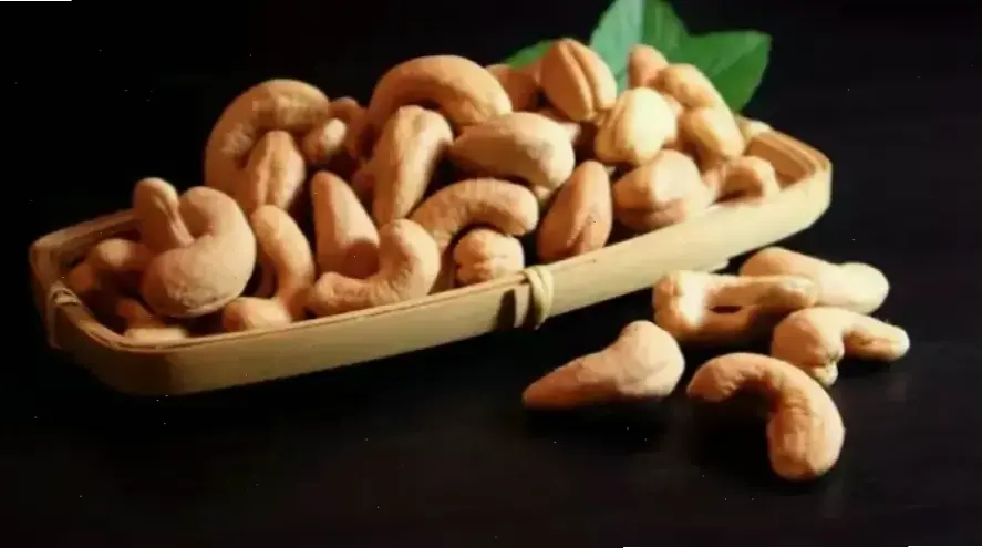 Các loại thực phẩm thiết yếu