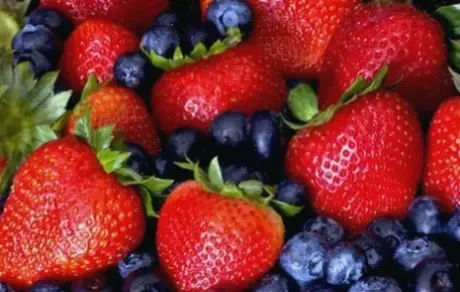 Các loại thực phẩm tốt