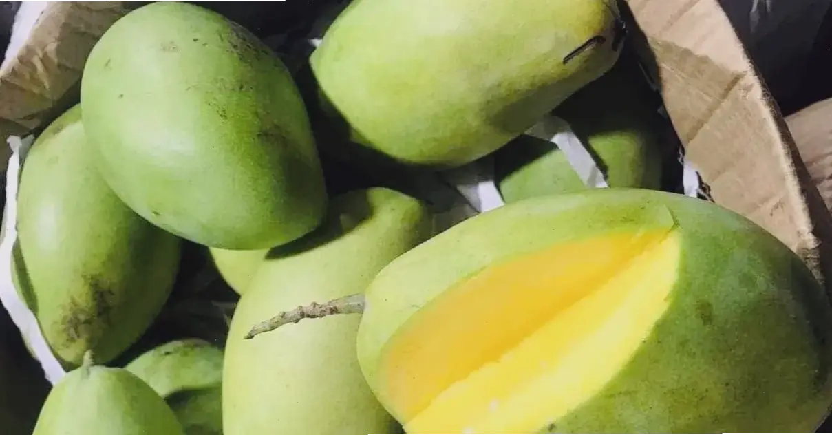 Các loại trái cây tốt cho hô hấp