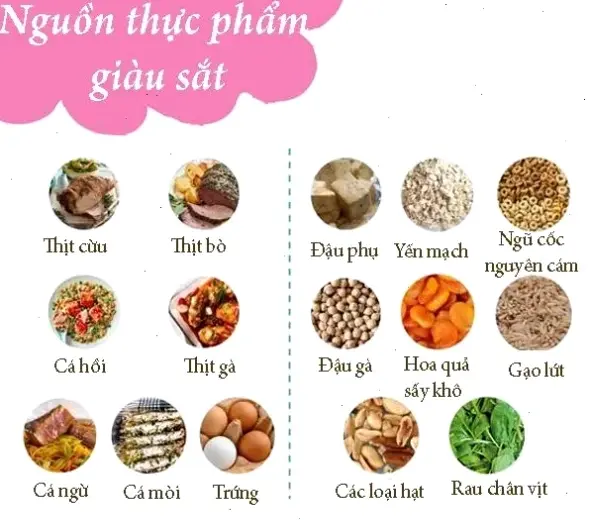 Các thực phẩm giàu sắt