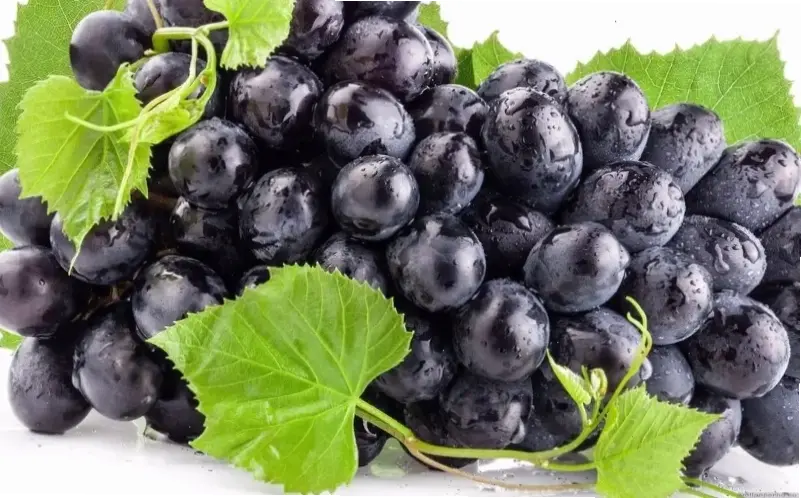 Các thực phẩm hữu ích