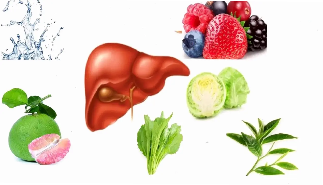 Các thực phẩm tốt cho gan