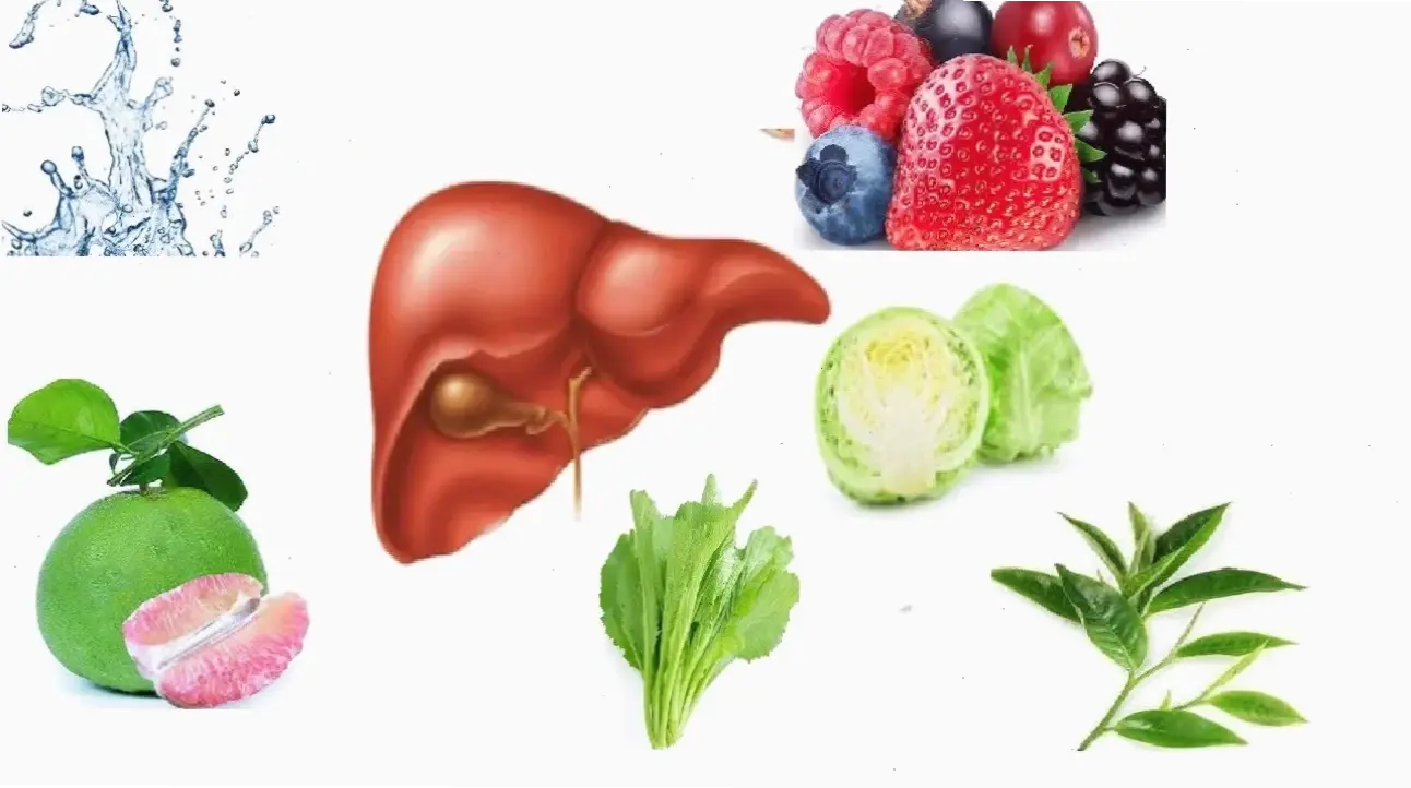 Các thực phẩm tốt cho gan
