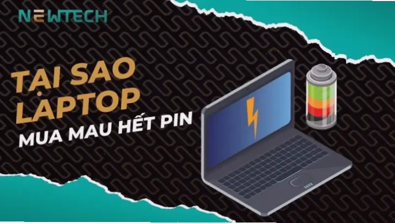 Các Yếu Tố Môi Trường Và Thói Quen Sử Dụng
