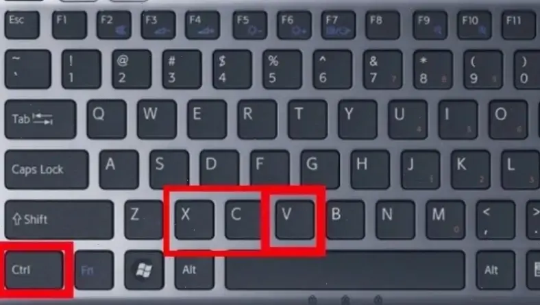 Cách Copy Cơ Bản