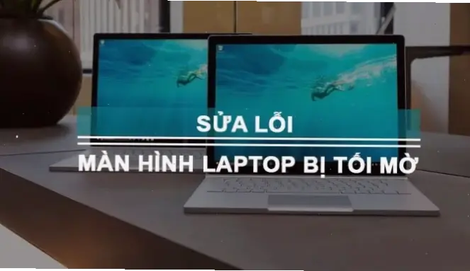 Cách Khắc Phục Và Mẹo Phòng Ngừa Hiệu Quả