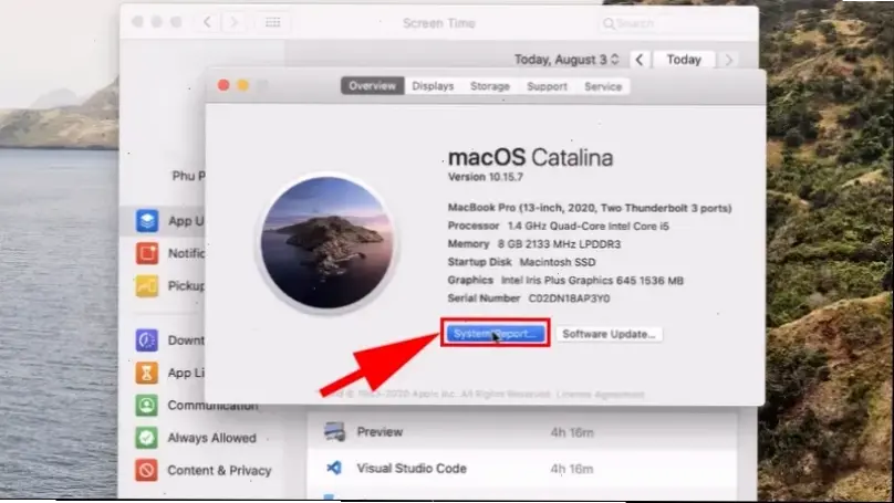 Cách Kiểm Tra Trên macOS Và Các Hệ Điều Hành Khác