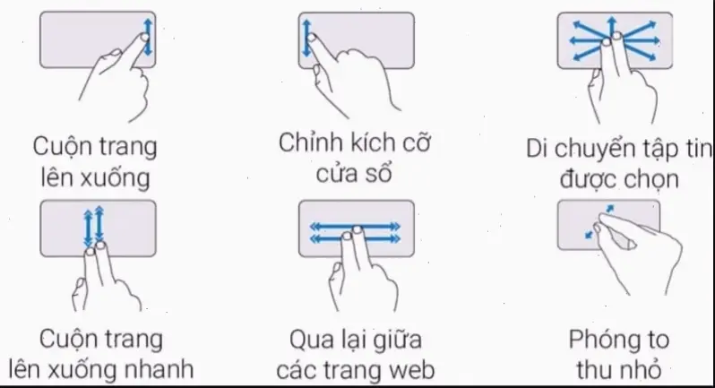Cách sử dụng cơ bản của chuột trên laptop