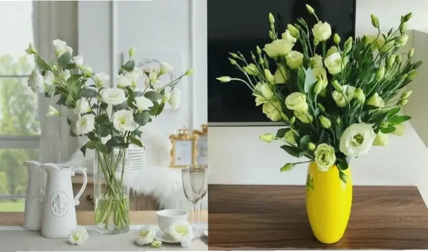 Cắm hoa cát tường ngày Tết để đón năm mới với không khí may mắn và rực rỡ.