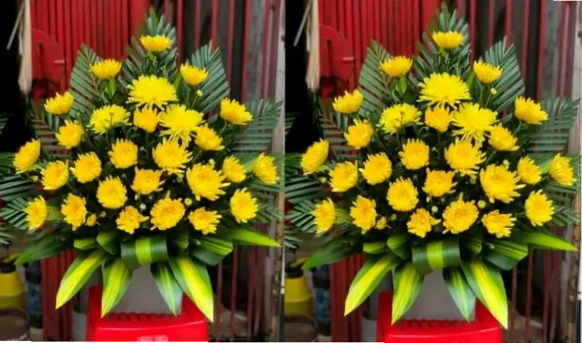 Cắm hoa cúc ngày Tết để đón lộc tài, tạo không gian tươi vui và tràn đầy năng lượng tích cực.