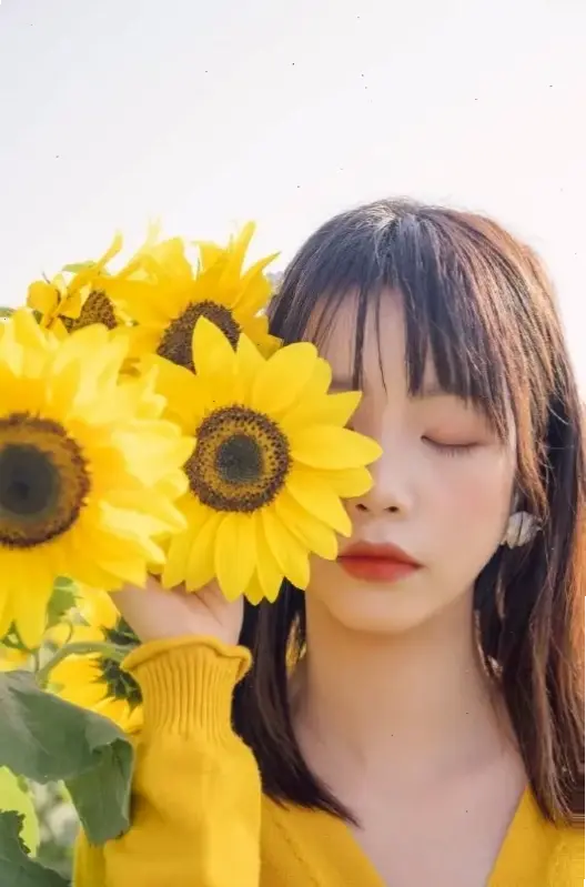 Cận cảnh vẻ đẹp mong manh của hoa cúc, gợi nhớ kỷ niệm đẹp và lời cảm ơn sâu lắng dành cho thầy cô vào 20/11.