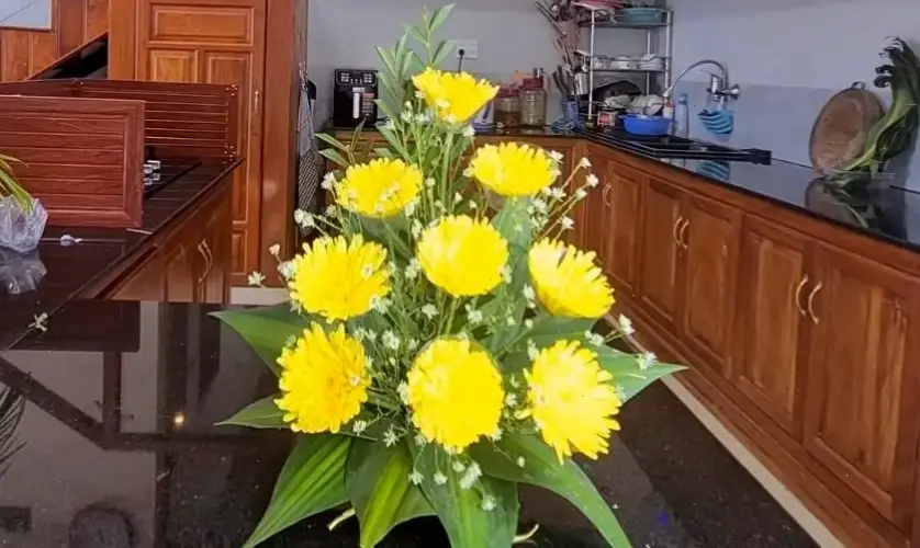 Chậu hoa cúc Tết rực rỡ, mang may mắn và niềm vui, trang trí nhà cửa ấm áp đón năm mới.