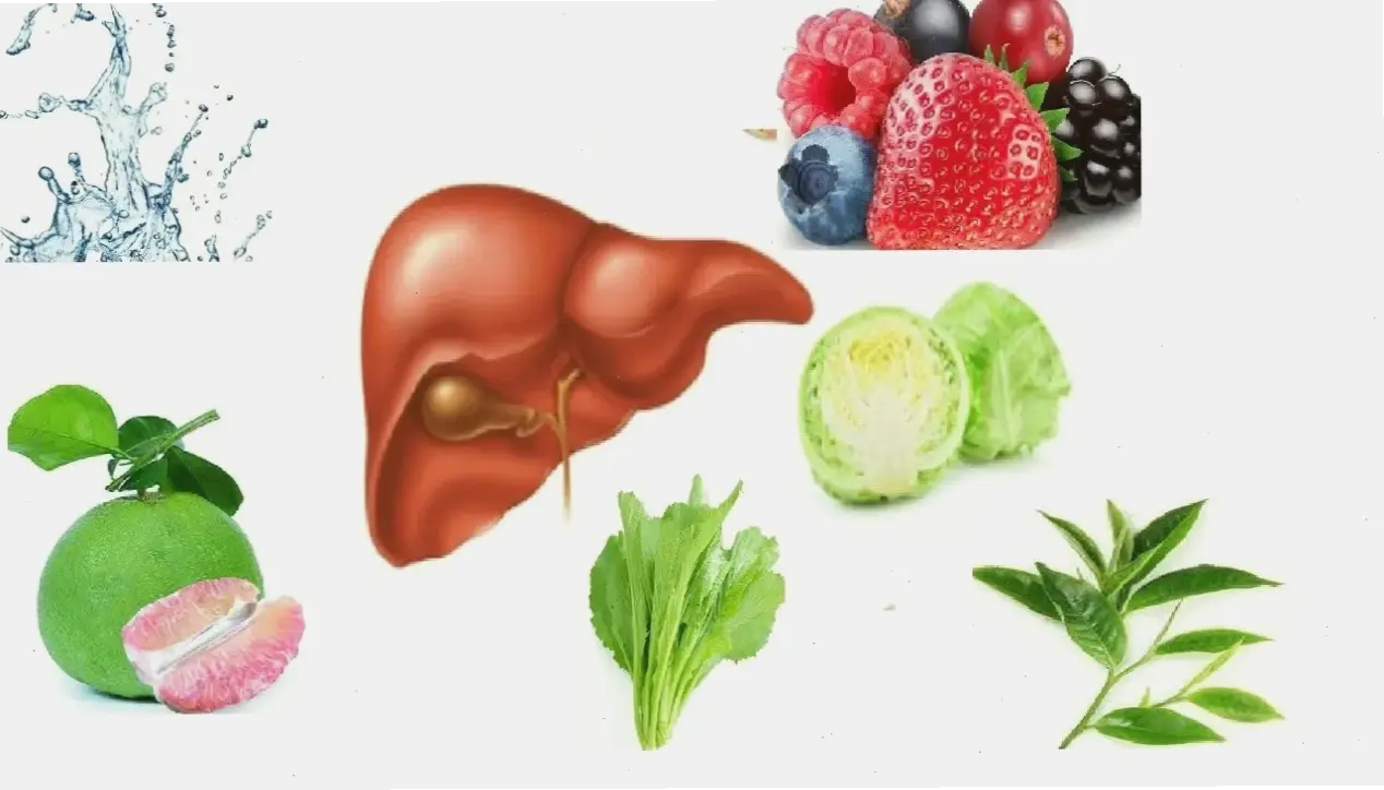 Chế độ ăn uống khuyến nghị